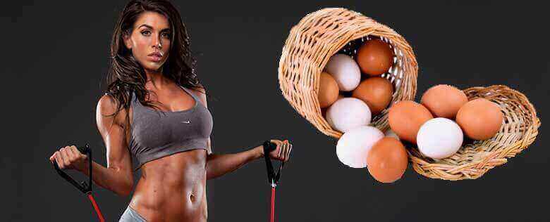 Huevo: alimento protéico
